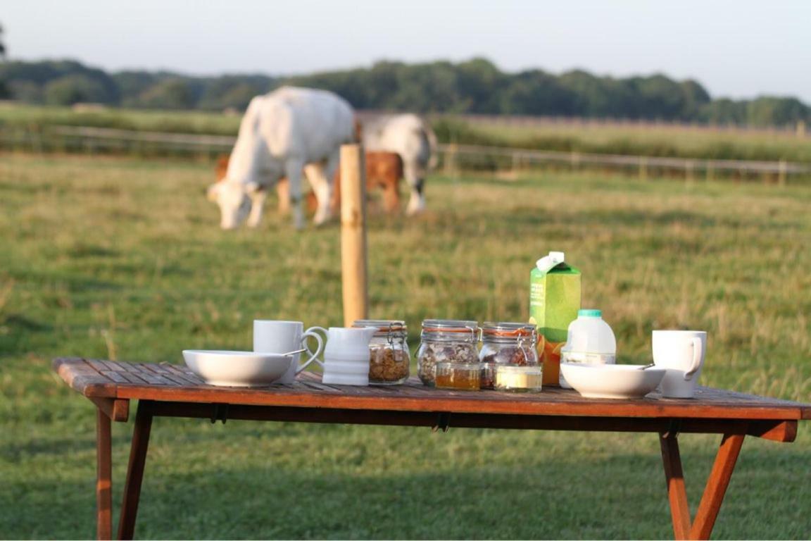 Shepherdshuts-Southeast Hotel Ashford  Bagian luar foto